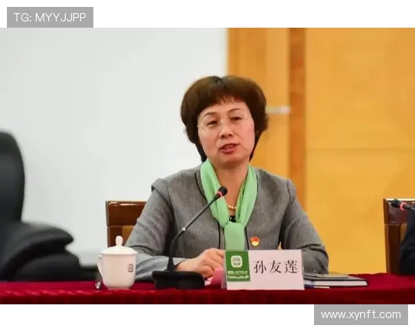 北京排球队选拔赛背后的拼搏故事与奋斗历程揭秘